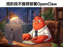 跟风养“龙虾”?现阶段不推荐盲目部署OpenClaw