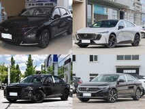 20万内四款中型轿车横评:燃油混动纯电全都有