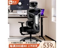 联丰E-31G人体工学椅限时特惠458元