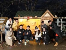 60只流浪猫的“暖冬计划”:一间猫别墅与Leader统帅的故事