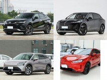30万元内五款中型SUV横评:威飒、天工06、AION LX、问界M5、途观L插混全维度实测