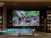 接连被央视推荐！海信RGB-Mini LED电视获众星集体打call