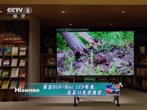 一个月内连登两次央视!众星点赞海信RGB-Mini LED电视