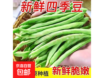 云南新鲜现摘2斤四季豆角,仅7.99元速抢!