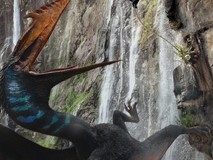 侏罗纪世界:重生上线流媒体,暑期票房黑马获年轻观众青睐