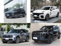 40万元内四款中大型6座SUV横评:纯电、插混、燃油、增程谁更懂中国家庭?