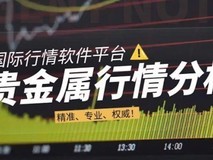 精准、专业、权威!国际五大贵金属行情分析交易平台!