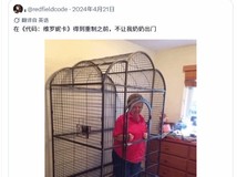 生化危机:代号维罗妮卡完全重制版官宣,2027年全平台发售引热议