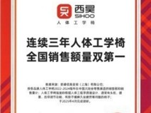 2025 双十二办公椅采购推荐:久坐健康,西昊专业办公椅正在重塑办公标准