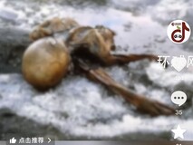 科学家复活5300年前冰人奥茨酵母,成功烘焙出古老酸面包
