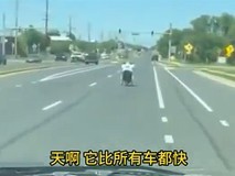 美男子驾改装电动轮椅飙至64公里/小时引热议