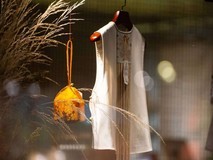 漫游北京扫街路线推荐：从五道营到北海，用镜头捕捉京味烟火与古都秋色