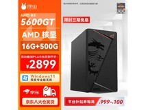 胖虫核显台式机直降300