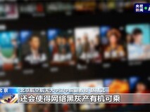 杭州破获特大盗版视频案:伪装图片藏剧集,数千万条非法传播