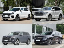 四款40万内汽油+48V轻混中大型SUV深度对比推荐