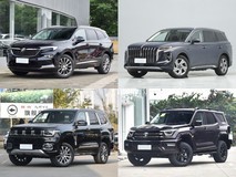 30万内中大型SUV推荐:5款汽油+48V轻混车型深度解析