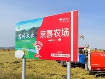 吉林大米丰收啦!京东京喜启动辉南新米预售 黑土地好米直达餐桌