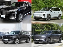 20万元内6座中大型SUV精选:星途揽月/零跑C16/领裕/奕派双车实测对比