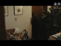 新垣结衣《他国日记》两女同居治愈片段公开