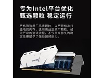 长城32G（162）intel专用条内存京东286元
