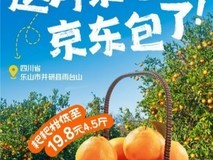冬日“甜蜜炸弹”来袭!京东生鲜“包园”耙耙柑12月20日源头直发