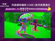 搭载CAE技术,装上感知大脑! 安谋科技发布 VPU IP新品