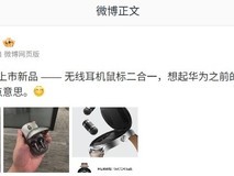 荣耀亲选8月将发布耳机鼠标二合一新品