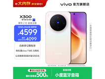 vivo X300 12GB+256GB 京东折后 4461 元