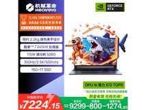 机械革命极光X潮玩版C7-245HX