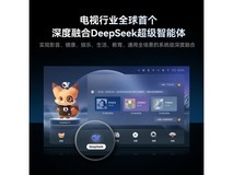 SKYWORTH创维100英寸电视,低至12381元