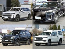 20万元内五款中大型SUV实测:奔腾T99、星途揽月等谁更胜任家庭与长途