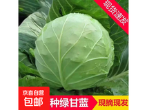 寿光绿甘蓝带箱5斤,满减后4.99元速来抢!