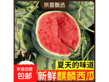 安徽砀山精品西瓜,无籽/8424款,1个仅12.9元
