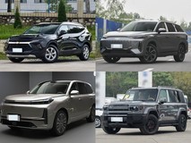 20万内选中大型SUV不将就!四款实力座驾横评