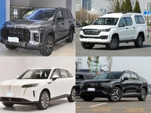 20万内四款中大型SUV横评:硬派越野、皮卡SUV、插混新锐、电动轿跑全都有