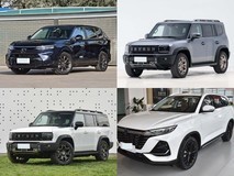 20万内7座SUV怎么选?五款紧凑型实力派真实测评