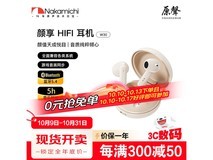 中道真无线蓝牙耳机W30