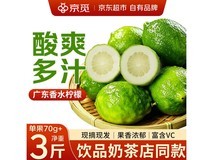 京觅广东香水柠檬3斤装,用券立减5元仅12.2元!