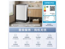 松下XQB100-Q17CS波轮洗衣机特惠