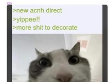 动森3.0将至!Switch 2平台迎全新度假旅馆系统