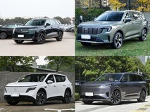 30万元内真全能中大型SUV横评:揽巡、领裕新能源、NX8、eπ008、GX7五车实测突围
