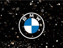 宝马高管:汽车产业面临结构性挑战需深化协作