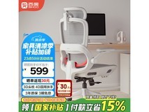 西昊 B100Pro 人体工学椅限时特惠573元