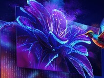 高性价比学生显示器选哪款,先看清这几点再决定