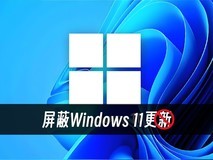 Win11废了我4TB数据 教你屏蔽Win11更新 非注册表法