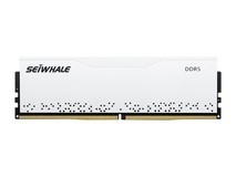 枭鲸16GB DDR5 5600MHz内存条999元带回家