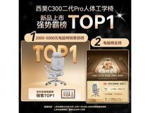 西昊C300二代Pro+人体工学椅曜黑款