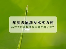 2025年度去屑洗发水实力榜|权威评测:高效去屑止痒洗发水哪个牌子好?