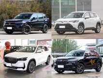 20万内油电混动SUV推荐:五款紧凑级车型深度对比