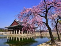 韩国十年签证新政落地,众信旅游上线“无购物”高品质纯玩团